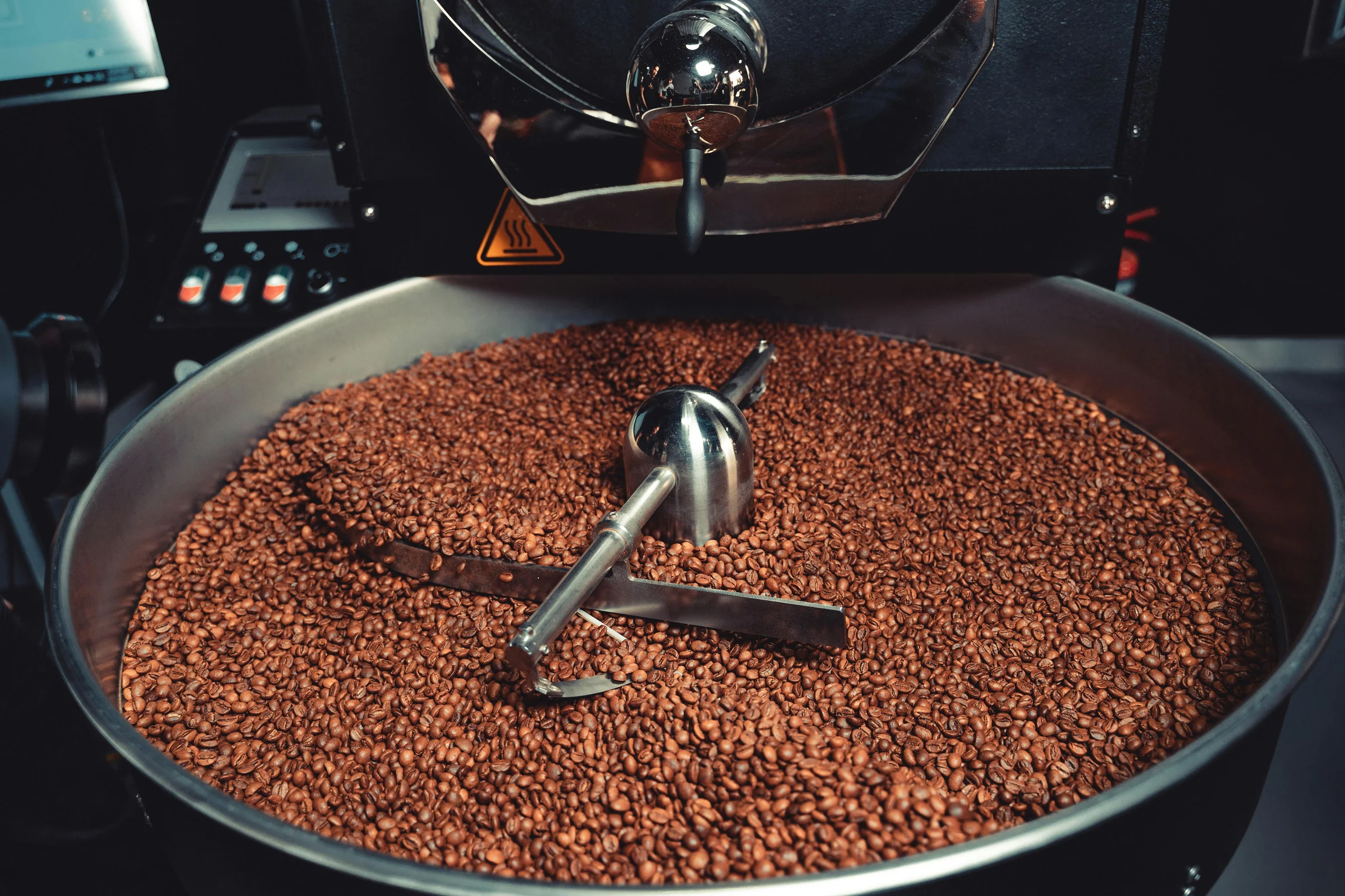 Freshly roasted coffee beans tumbling in a commercial drum roaster